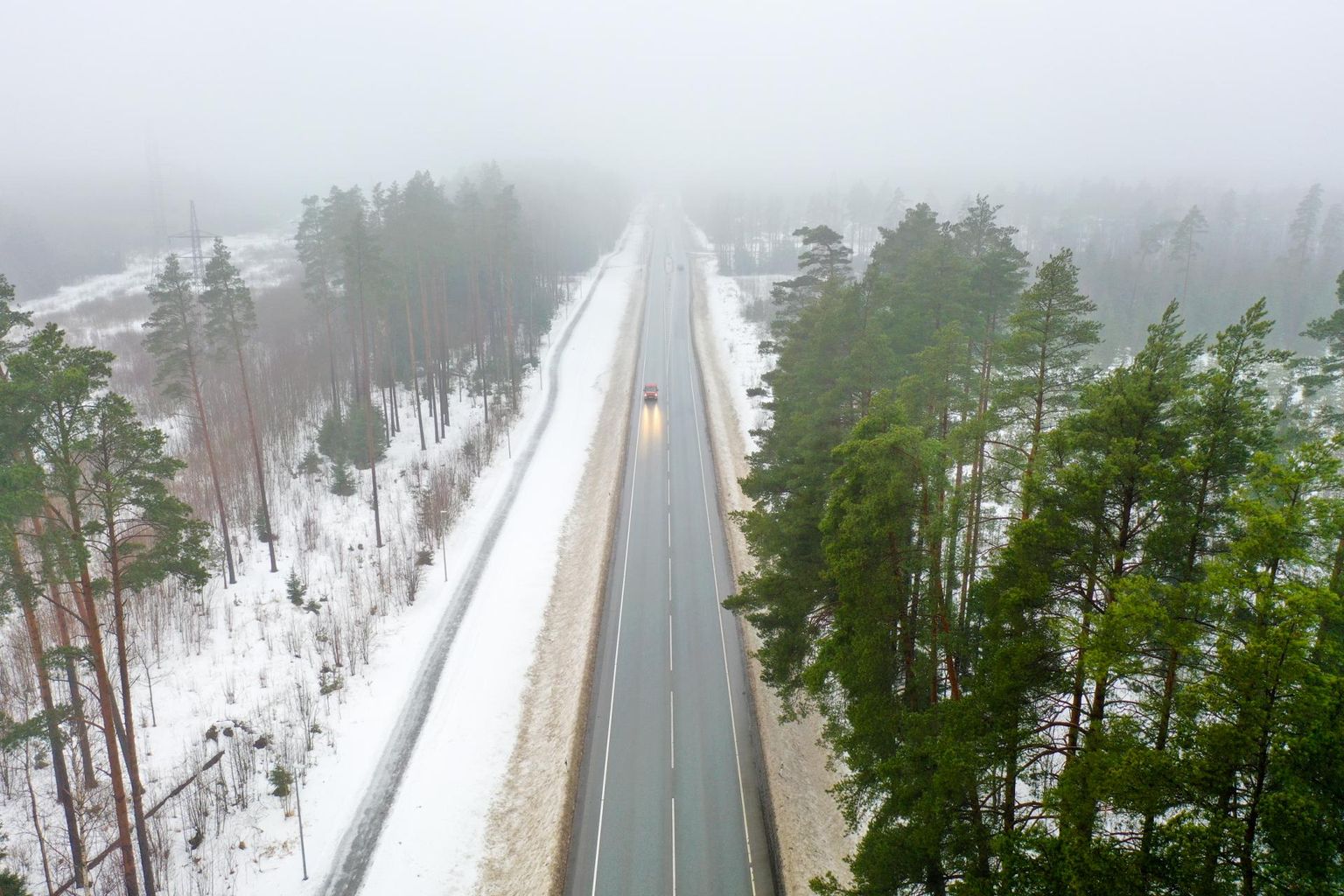 Selles kohas jääb loodav Tammiste metsade kaitseala mõlemale poole Pärnu–Rakvere–Sõmeru maanteed. Kogu ala on palju suurem.