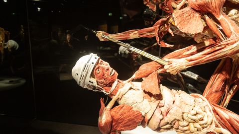 В Таллинне вновь открылась для посетителей уникальная выставка человеческих тел