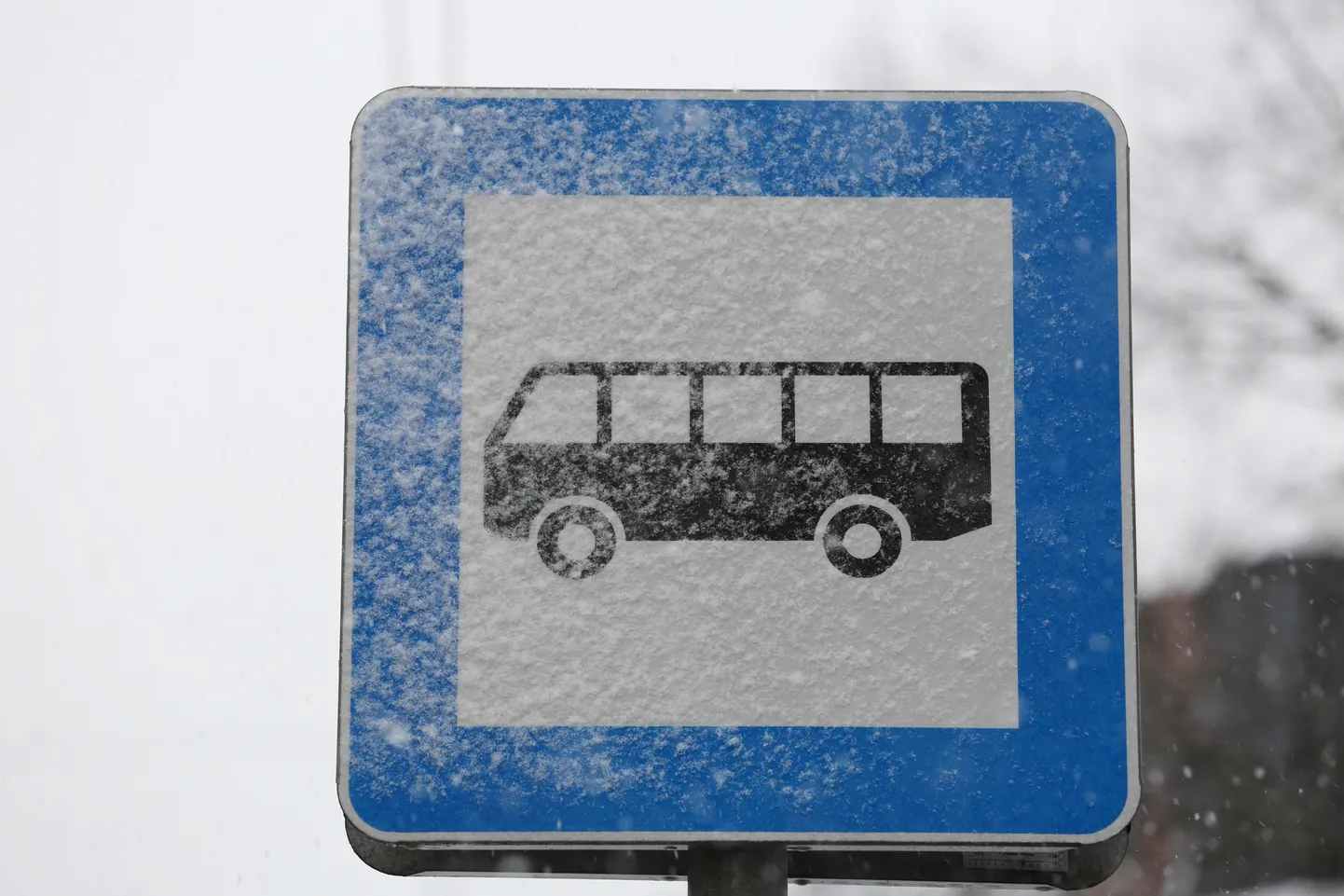 Ceļa zīme - ''Autobusa un trolejbusa pietura''. Ilustratīvs attēls. 