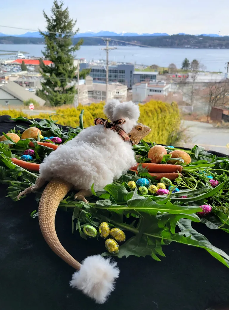 Jub Jub jänkukostüümis.