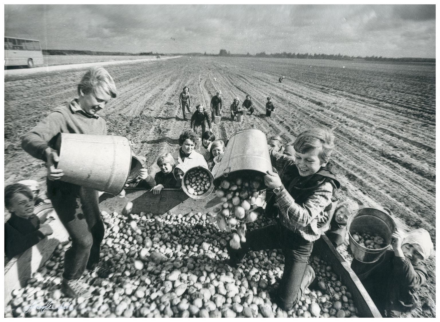 Uulu kooli lapsed Suursoo kartulipõllul, 1984. Henn sai selle kaadri eest 1985. aastal NSVLi rahvamajanduse näituse pronksmedali koos tunnistusega. Sama pilt sai Eesti–Soome foto maavõist­luse esikoha “Huumori­foto-88” seerias. Soome žürii pidas seda naljafotoks.