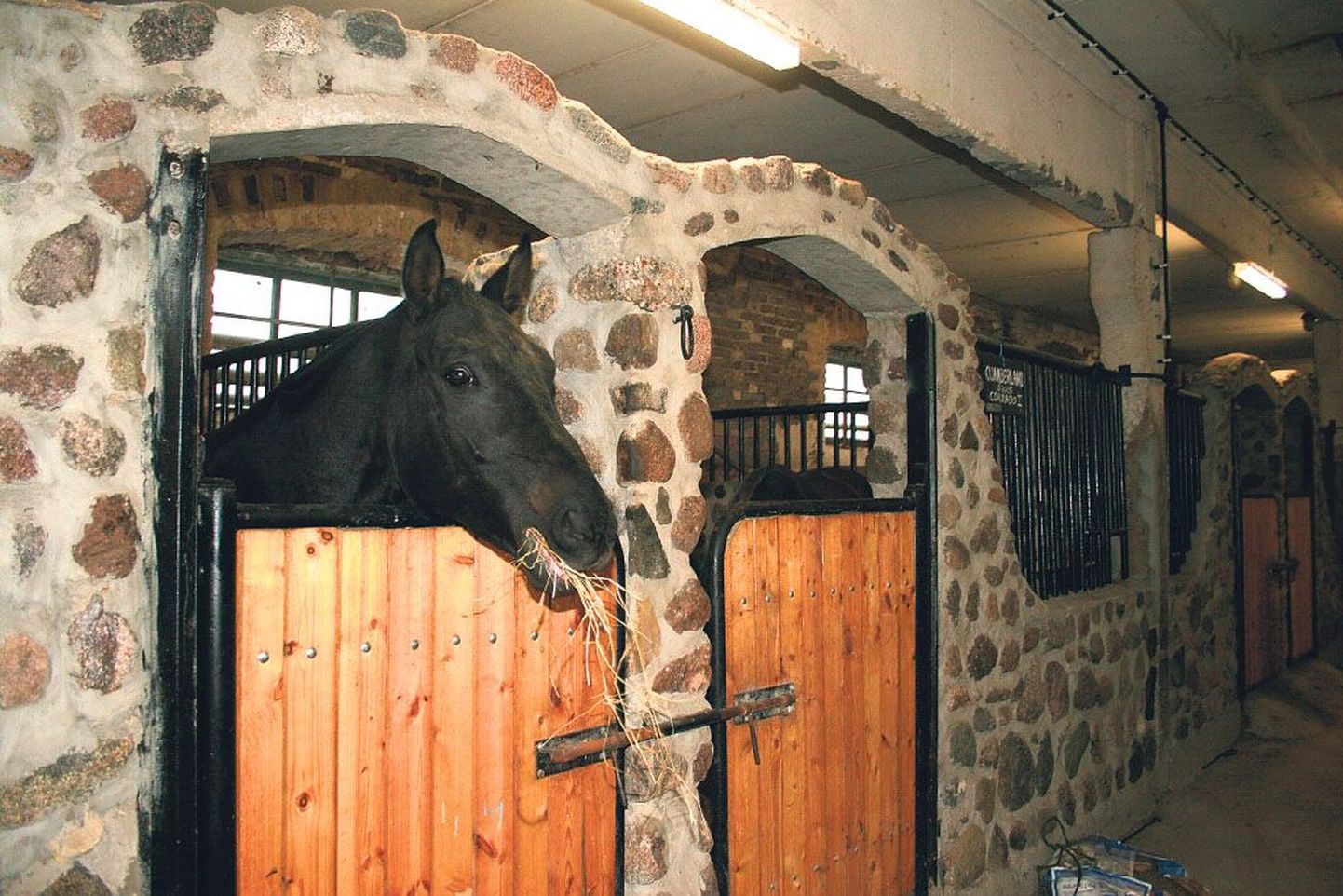 Võib juhtuda, et riigi hobustel tuleb oma kodutalliga Tori hobusekasvanduses hüvasti jätta, kui riik otsustab oma 35 hobust laiali müüa.