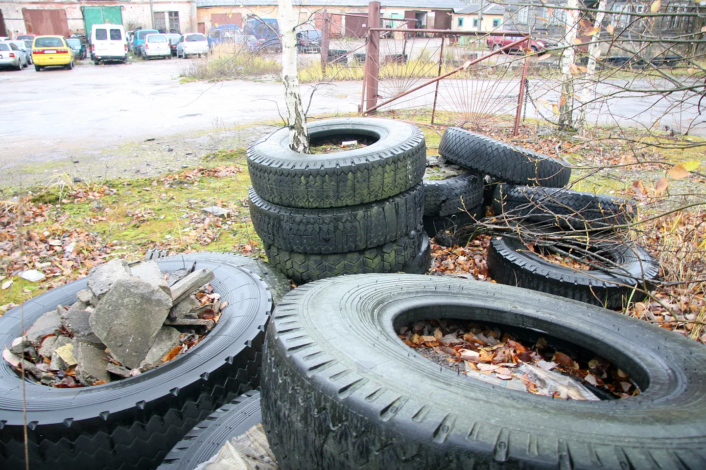 Vanadest autorehvidest peaks lähiaastatel saama tooraine Narva õlitehaste jaoks.