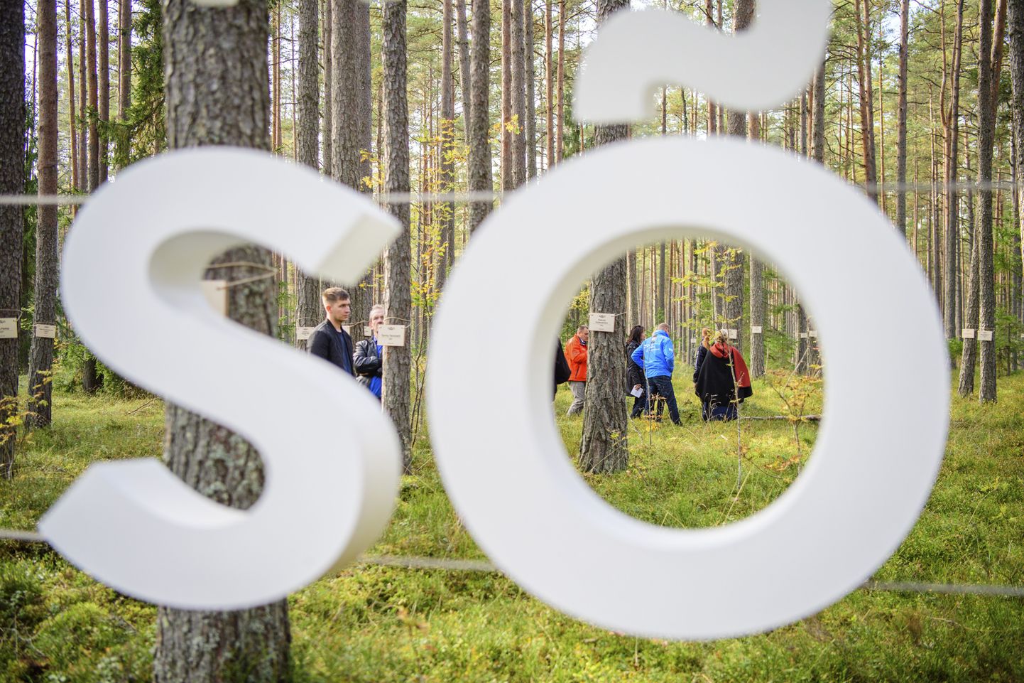 Läinud reedel avati Ettevõtluse Arendamise Sihtasutuse turismiarenduskeskuse initsiatiivil koostöös riigimetsa majandamise keskuse (RMK) ja Eesti Vabariigi 100. aastapäeva toimkonnaga Sõnamets.