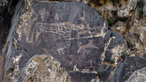 Rootsis avastati 2700 aasta vanused petroglüüfid, mis kujutavad inimesi, laevu ja loomi