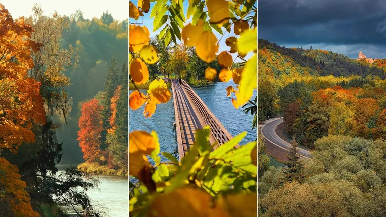 Фото статьи