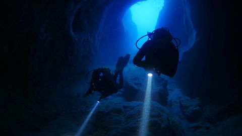 490 meetri sügavusel ootas üllatus – Antarktika vetest leiti olend, keda seal ei peaks eksisteerima