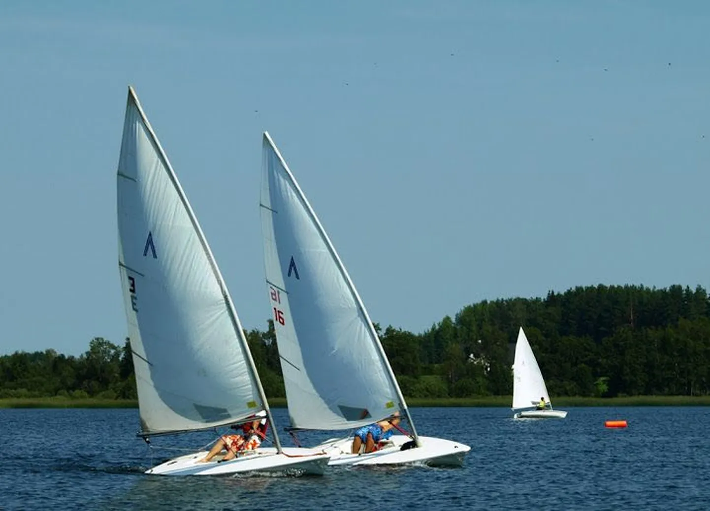 Nõuni purjeregatt