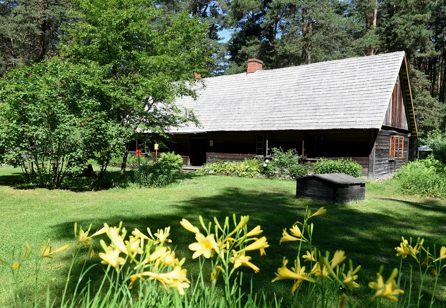 Latvijas Etnogrāfiskā brīvdabas muzeja teritorija.