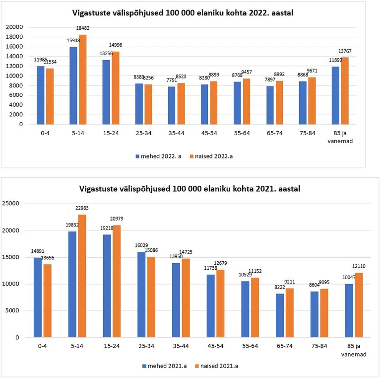 Vigastuste välispõhjused 100 000 elaniku kohta 2022. ja 2021. aastal.