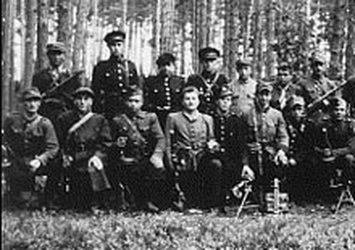 Raksta foto