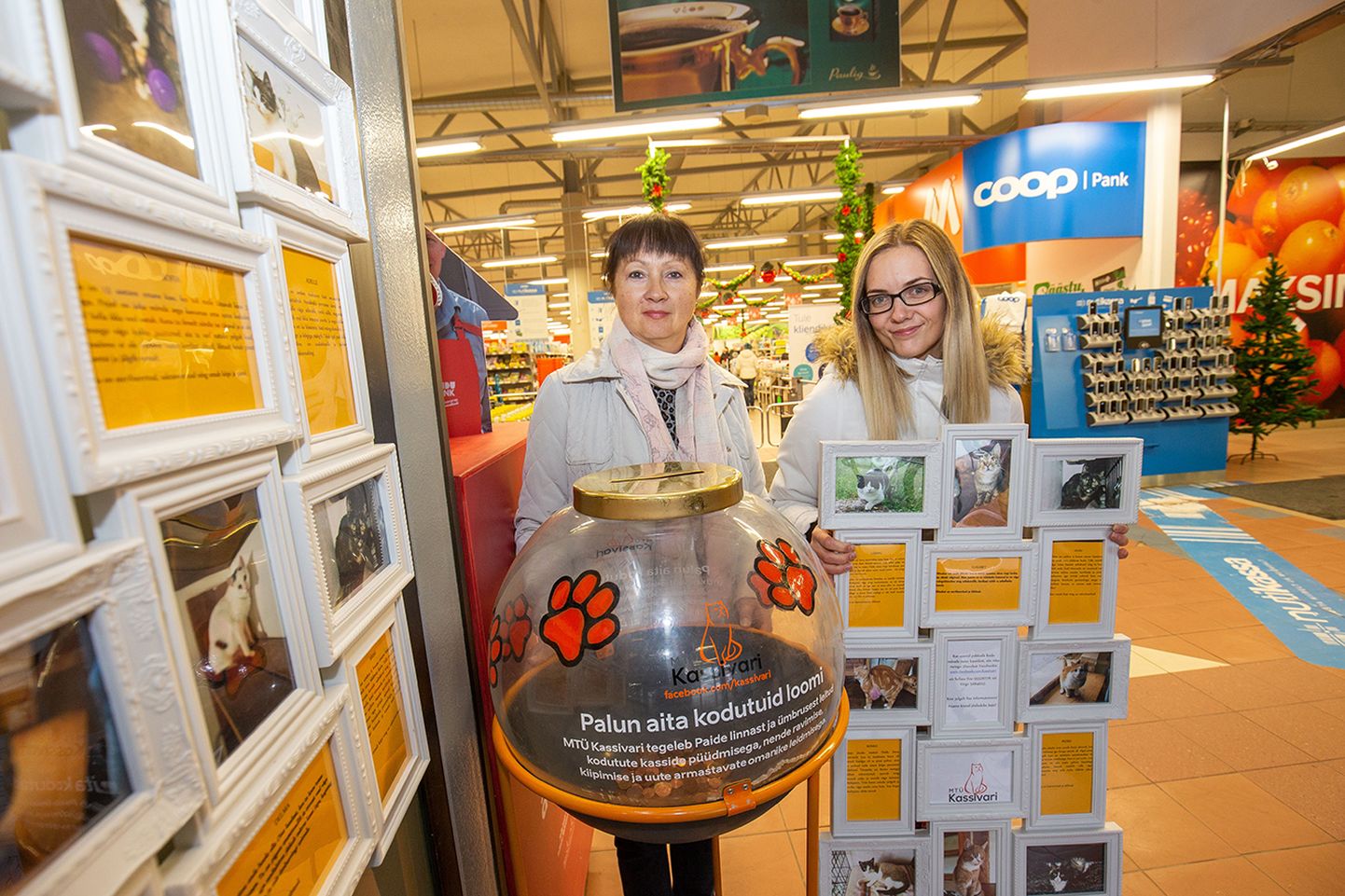 Ene Vaarma (vasakul) ja Virge Piisner paigaldasid Paide Maksimarketisse MTÜ Kassivari annetuskasti ja pilditahvli kodu otsivatest kassidest.