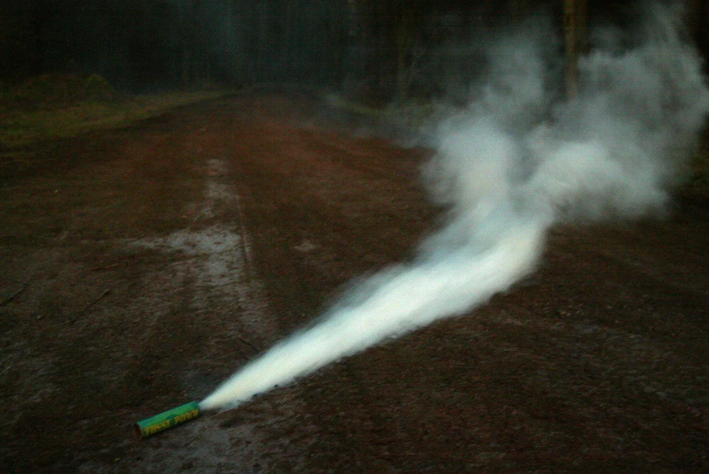 RAK01:ILUTULESTIK, PAUGUTID :27DEC06, RAKVERE, EESTI
FOTOL TOSSUPOMM
tl/Foto TAIRO LUTTER / VIRUMAA TEATAJA