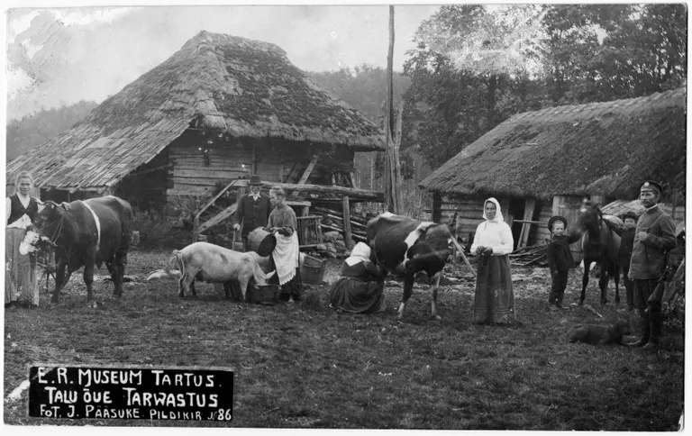 Tarvastu taluõu.