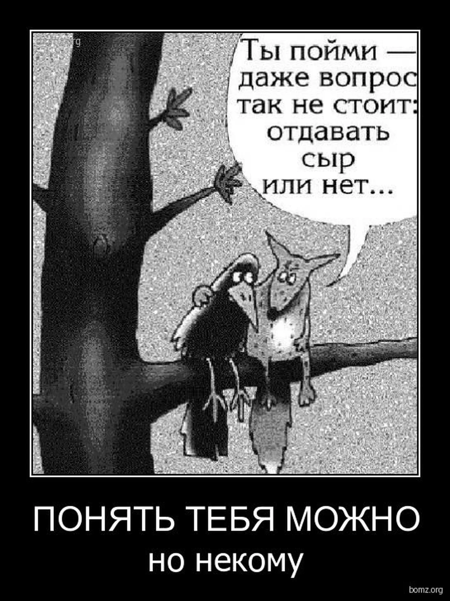 Фото статьи