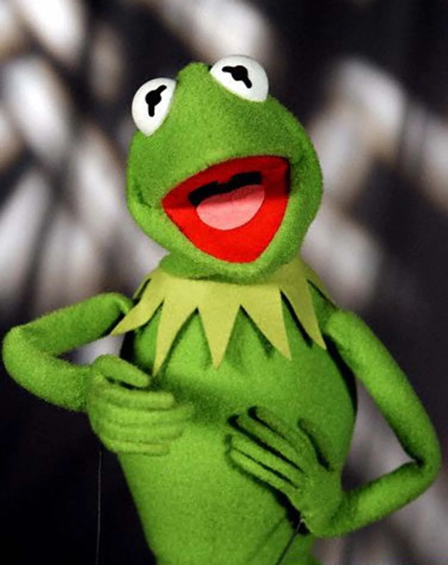 Nukk-konn Kermit