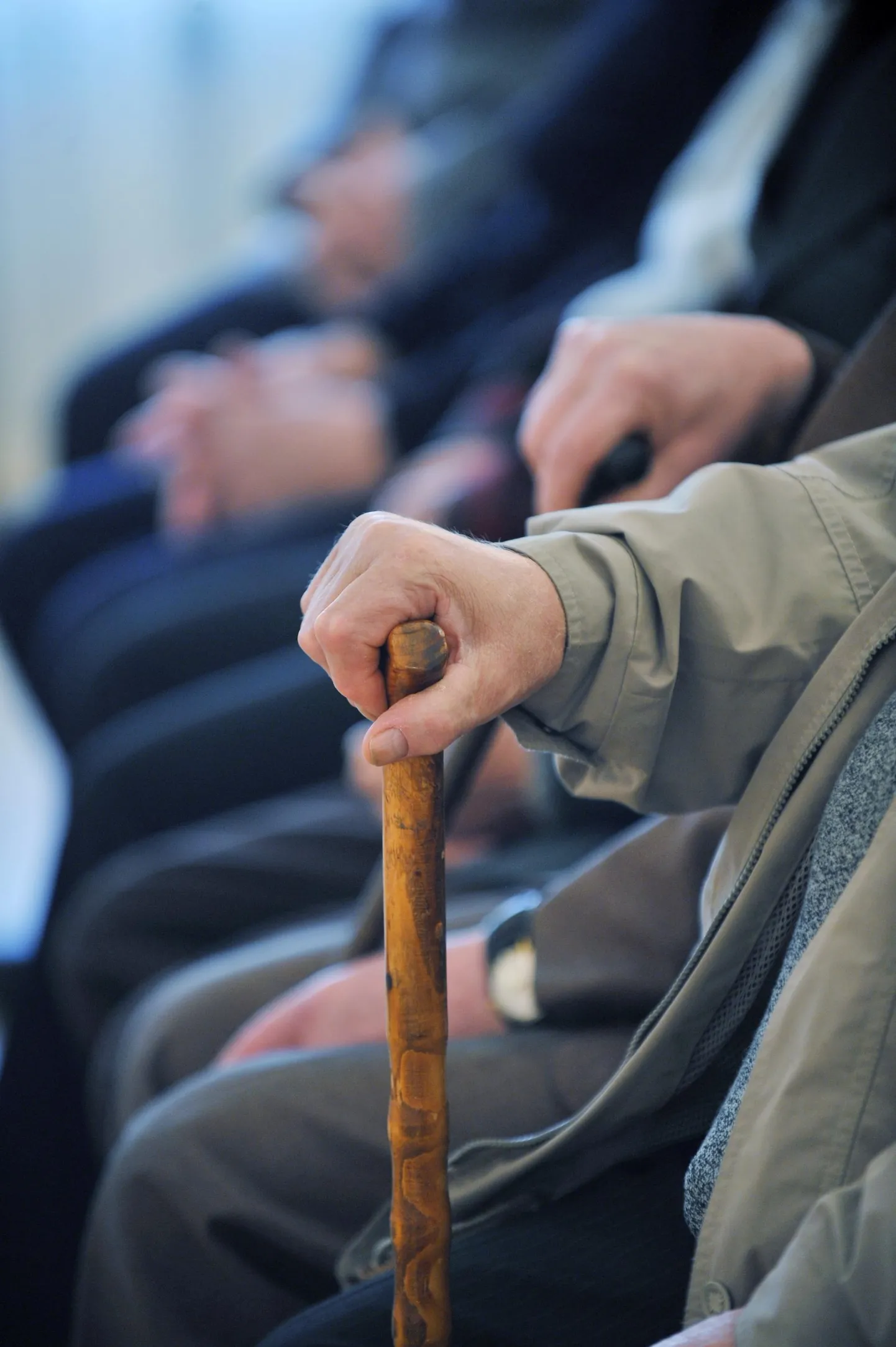 Üksi elava pensionäri toetus on ka sel aastal 115 eurot.
