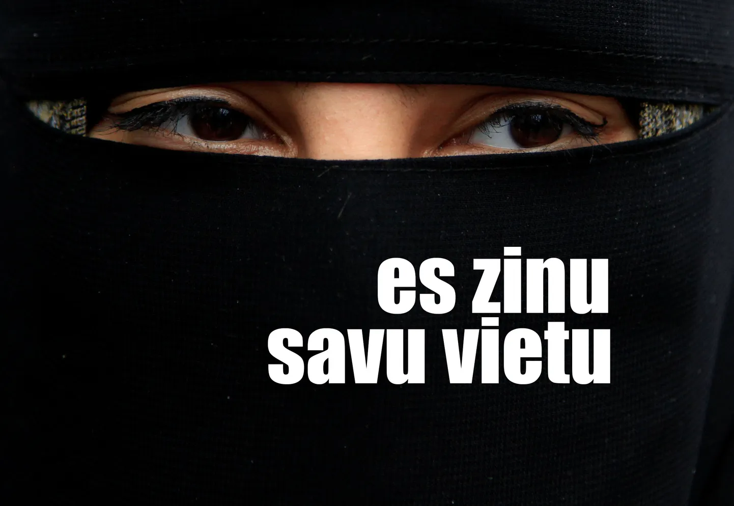 Raksta foto