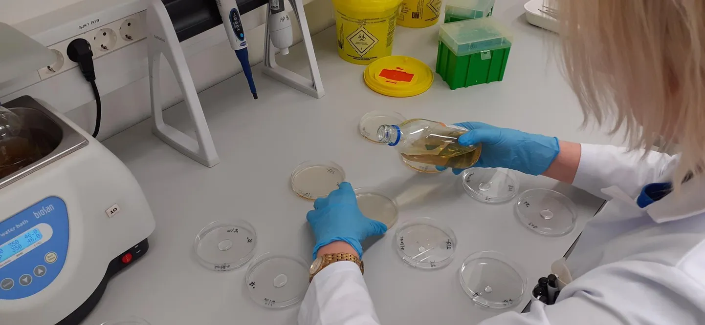 Terviseameti nakkushaiguste labor analüüsib endiselt Kuressaare kraanivett.