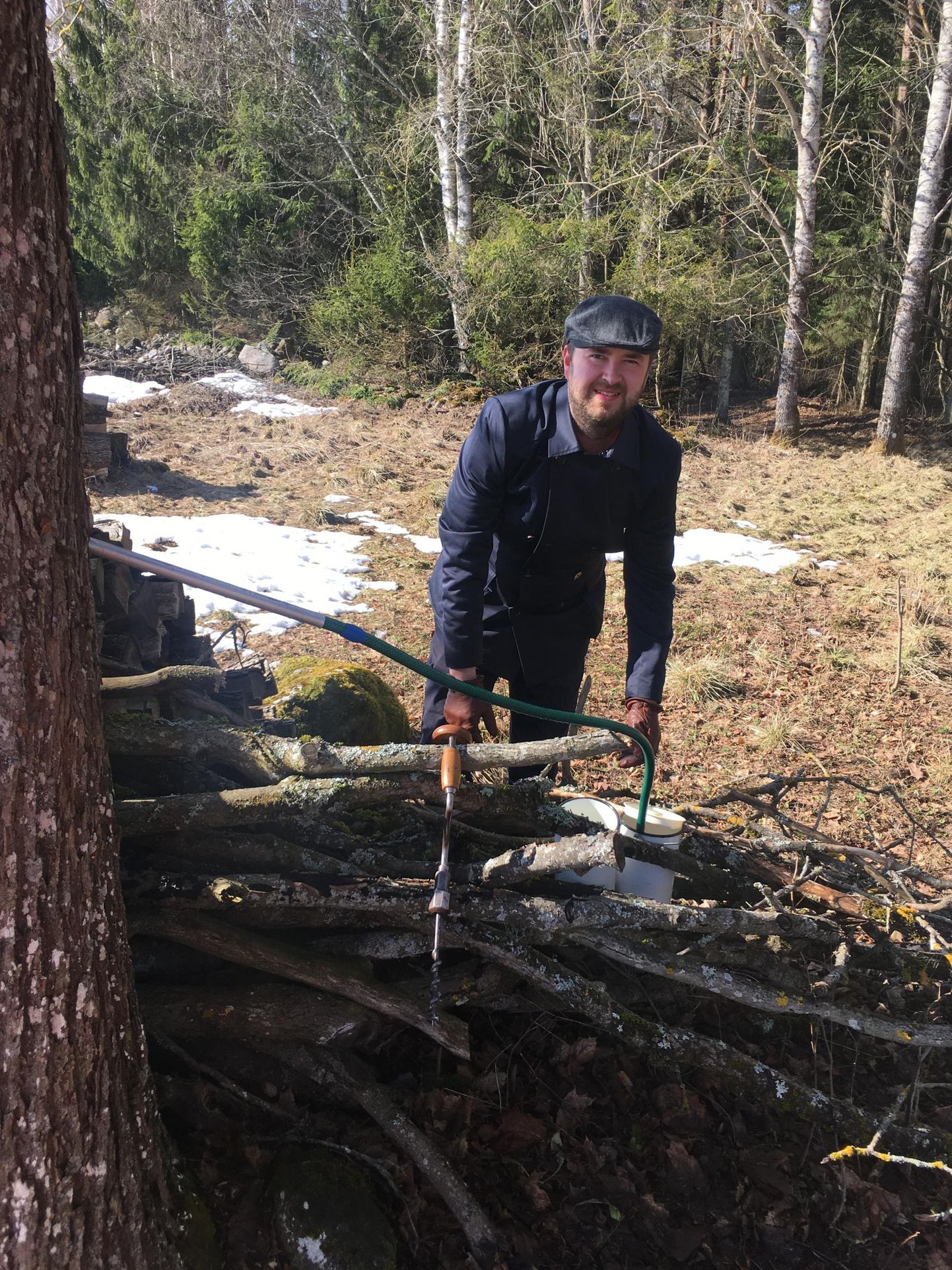 Martin Mülleril on kodu läheduses üks kindel vaher, mis teda igal kevadel mahlaga varustab. Ja vanaaegne käsipuur, millega puukoore sisse auk teha.