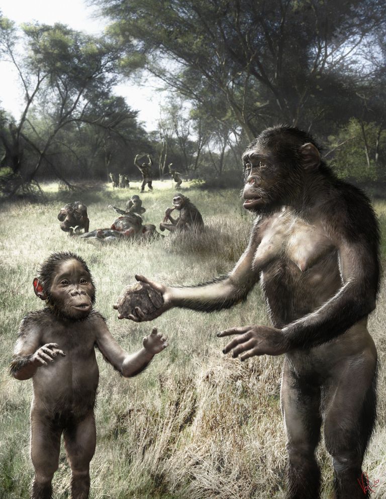Inimeste kauge esivanem Australopithecus afarensis, mille esindajad elasid Aafrikas 3,9 - 3 miljonit aastat tagasi