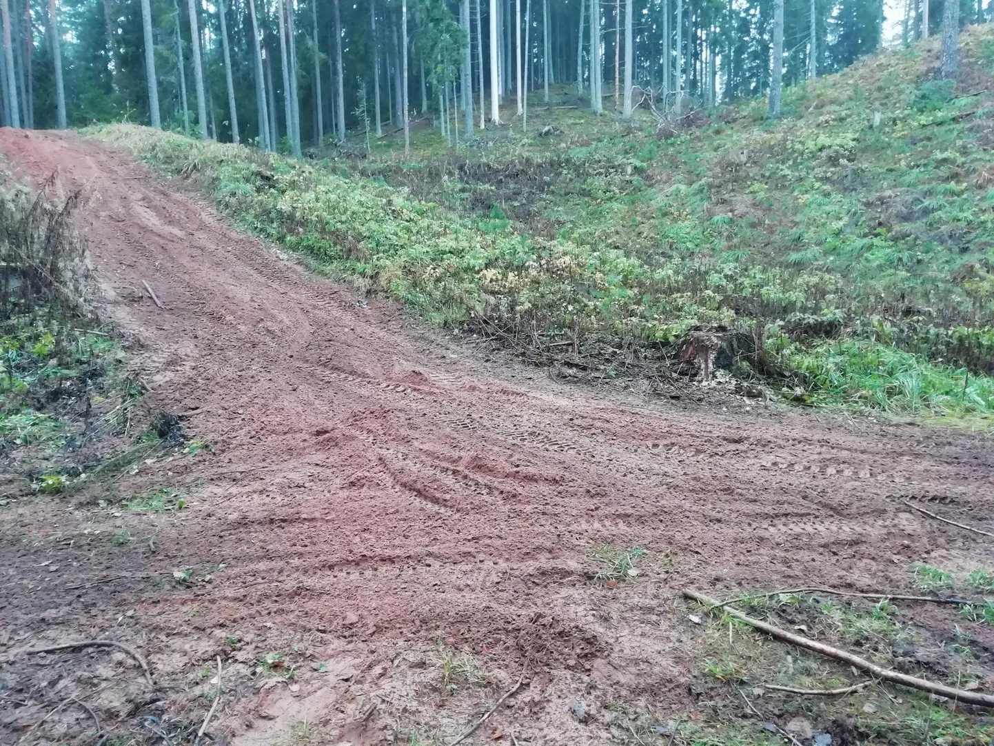 Selline vaatepilt avanes Kurista metsas pärast krossitajate omaalgatuslikku lõbusõitu.