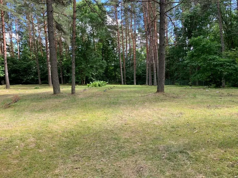 Tammiste kalmistu on korrastatud.