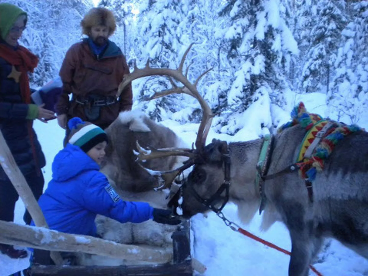 Kermo Vinklerit filmiti Rovaniemis koos põhjapõdraga, keda ta samblaga söötis. "Hästi tige põder oli. Kui teda puudutasin, tahtis panna sarvega, aga söögi võttis vastu," muljetas laulupoiss.