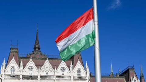 Raskustesse sattunud Eesti Instituut lõpetas Ungaris tegevuse