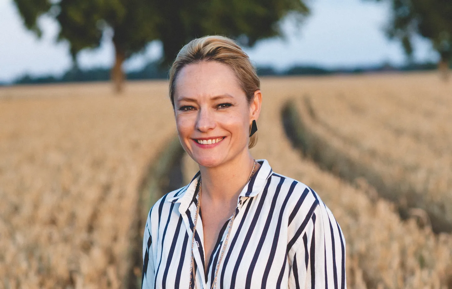 Airis Meier, Reformierakond