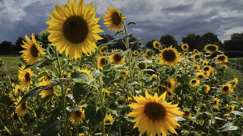 Lielas laikapstākļu pārmaiņas tuvākajās 24 stundās nav gaidāmas