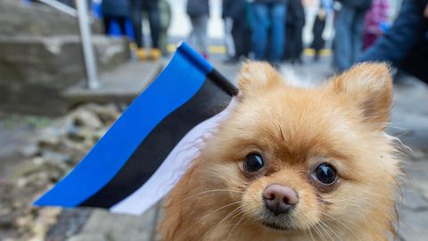 Kuhu minna nädalavahetusel Lõuna-Eestis?