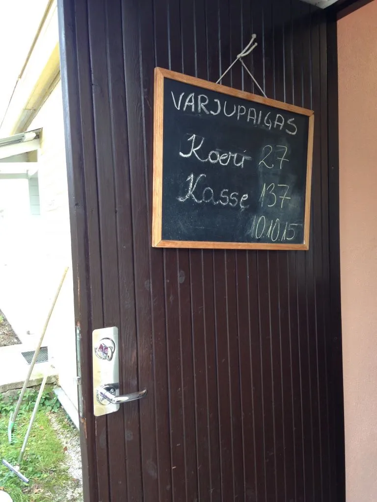 Varjupaiga uksel on silt, kui palju elanikke praegu varjupaigas uut kodu ootab.