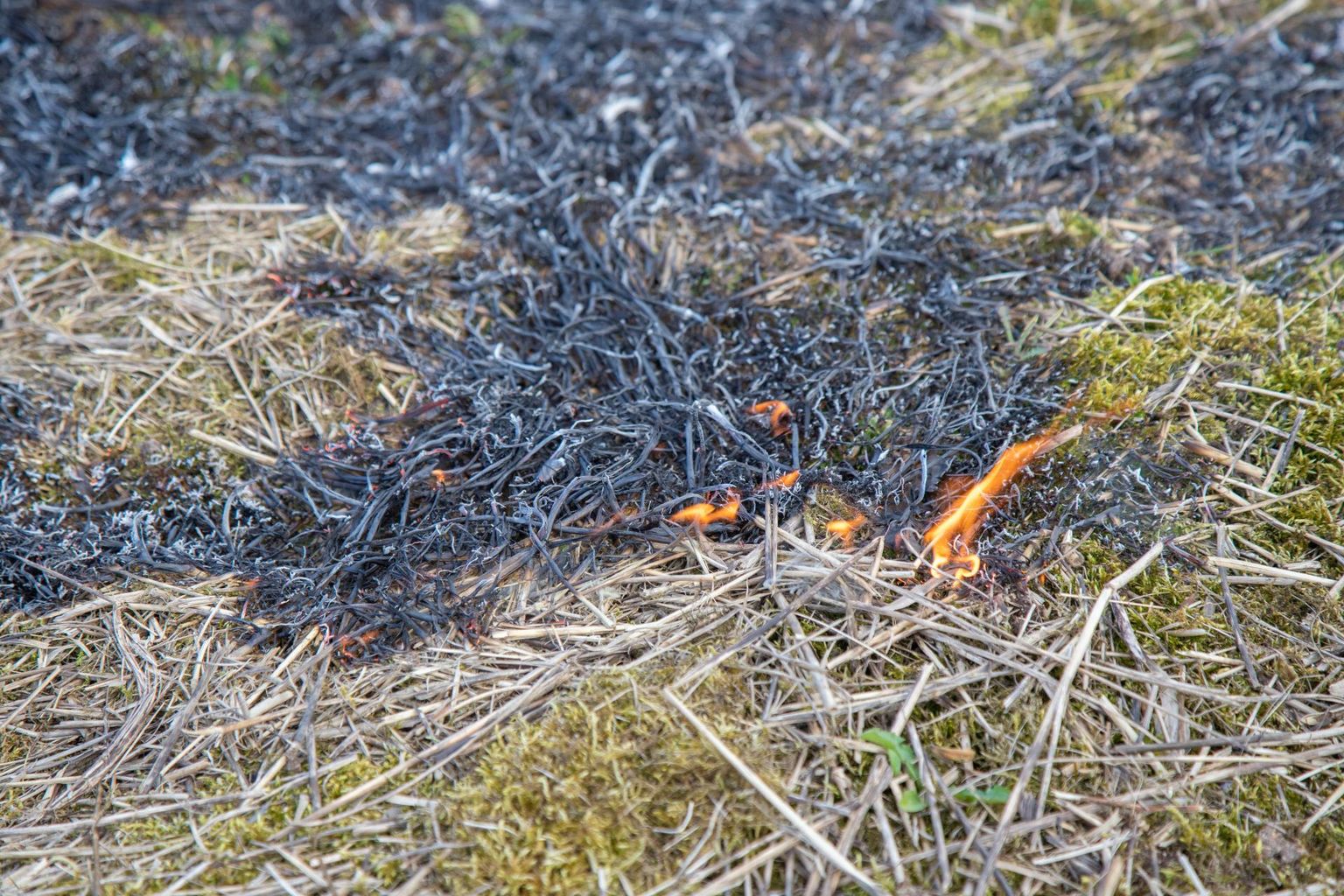 Lääne-Virumaal on viimasel ajal toimunud palju kulupõlenguid ja heinaküünide põlenguid.