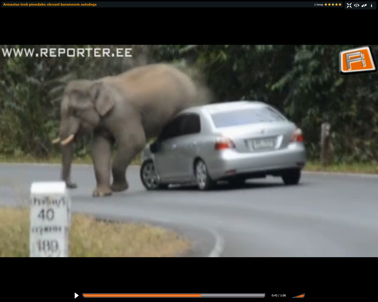 Kõrvuni autosse armunud elevant