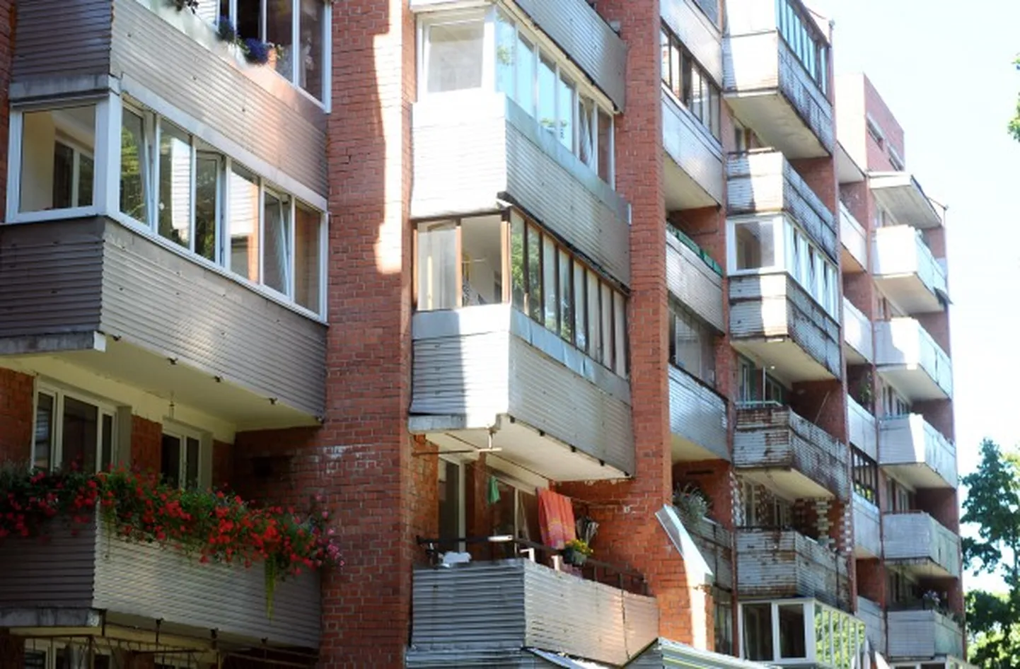 Raksta foto