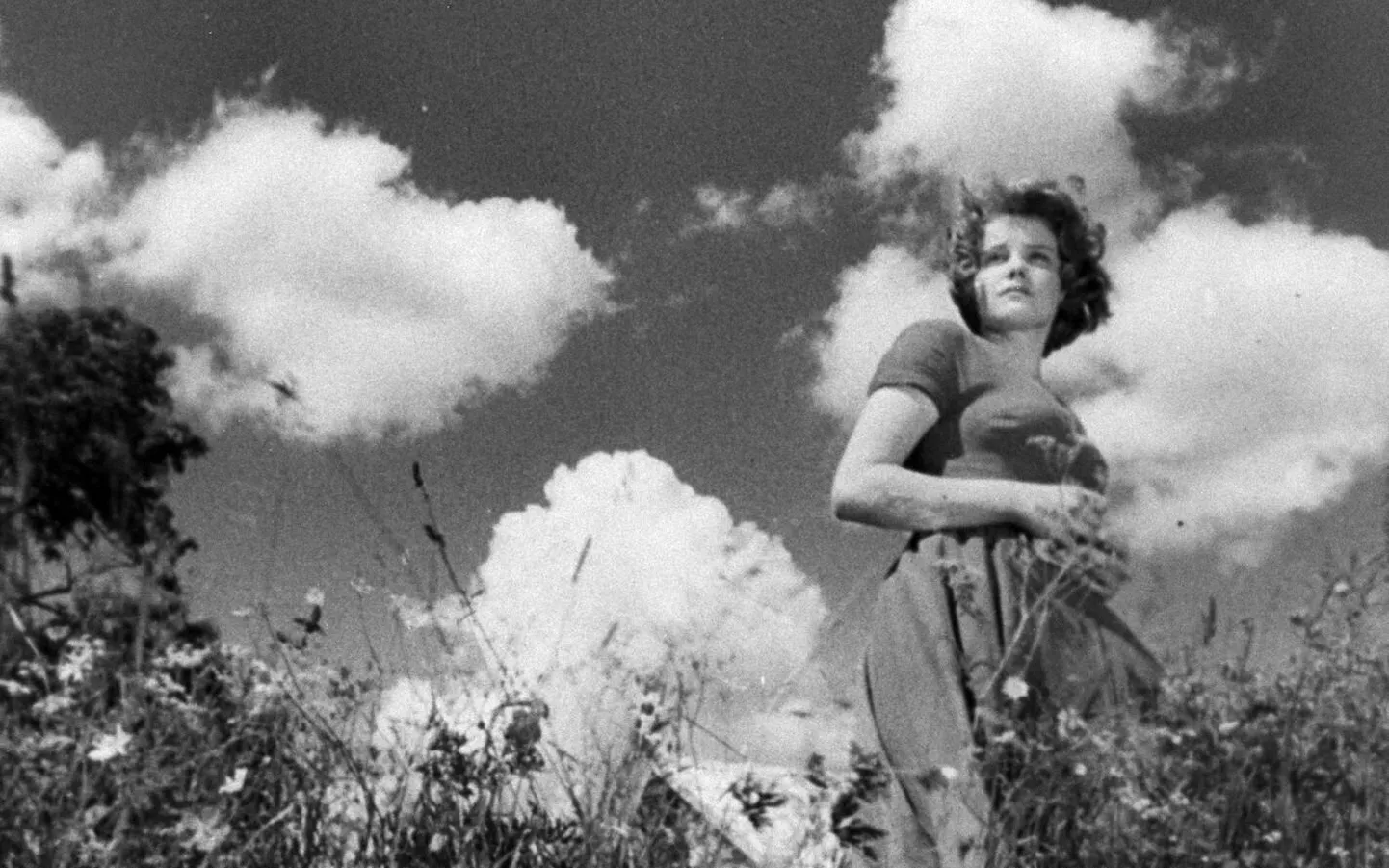 Eesti filmipärandist inspireeritud eksperimentaalne kollaažfilm «Varblane, mitte kanaarilind» linastub Michiganis Ann Arbori filmifestivalil.