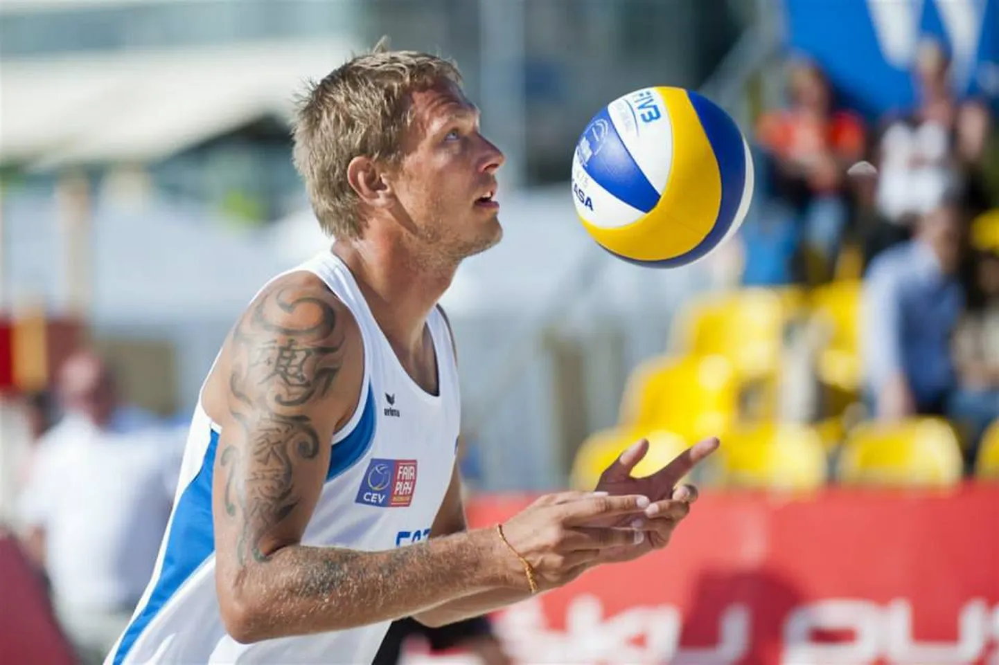 Rivo Vesik.