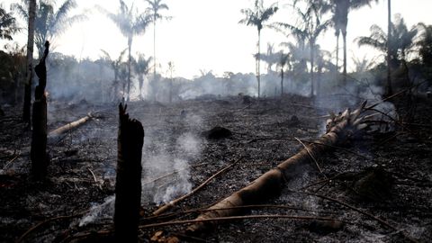 Bolsanaro vihjas põlengute puhul keskkonnaaktivistide süüle