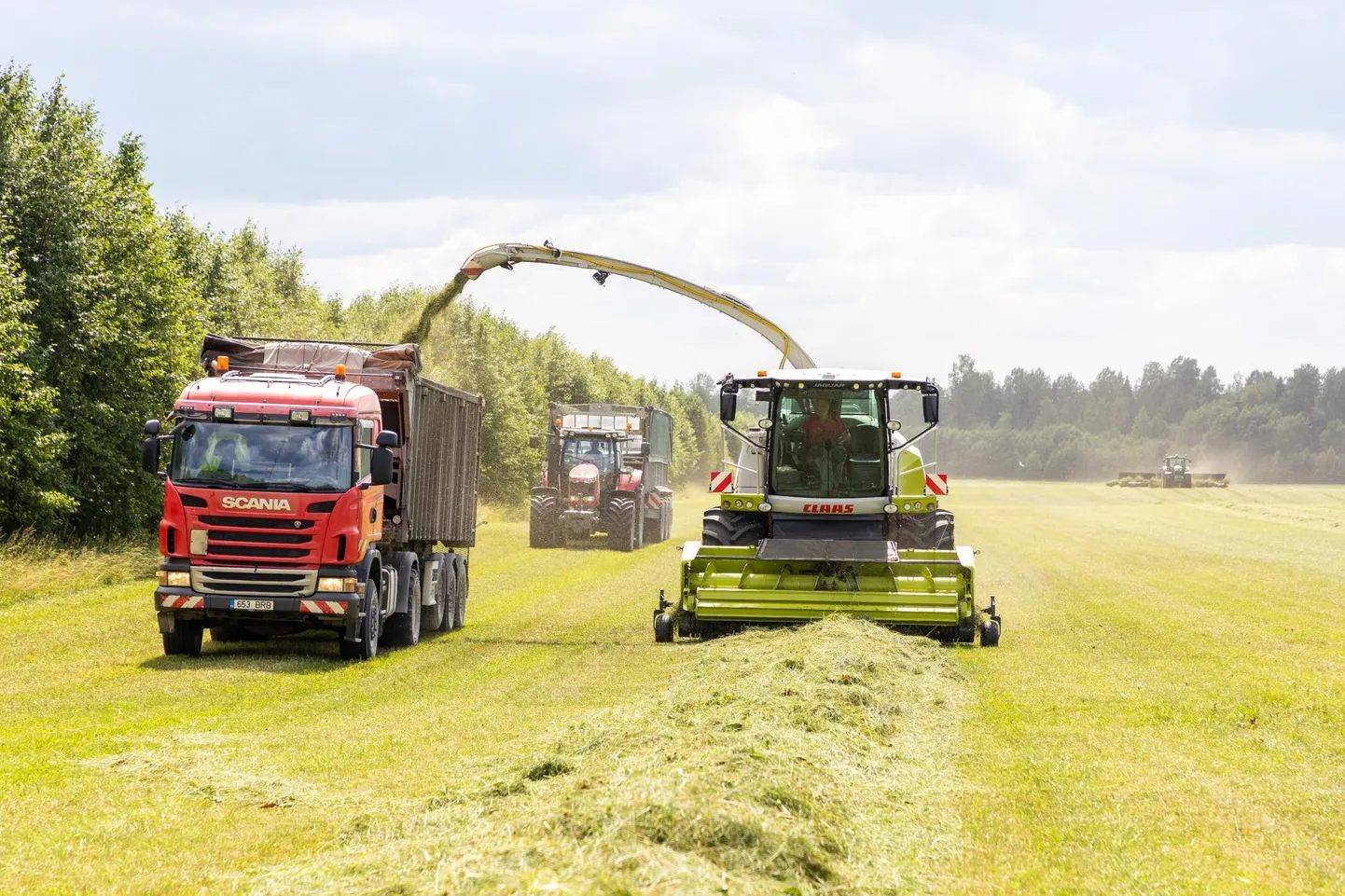 Väätsa Agro põldudel on sel juuli esimsel poolel käimas silotegu.