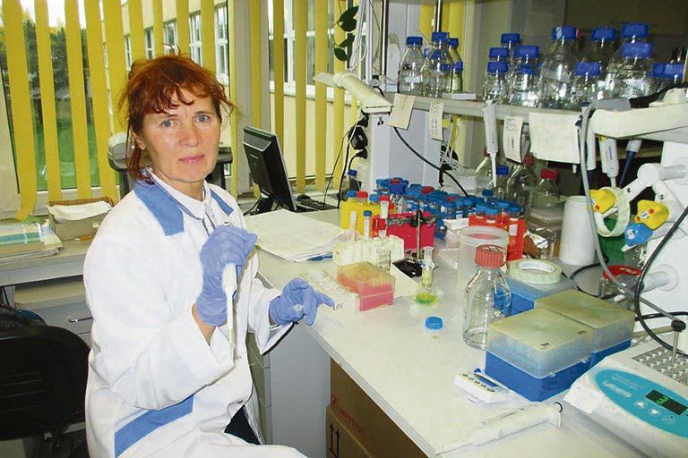 Tallinna tehnikaülikooli vanemteadur, molekulaarse immunoloogia dotsent Sirje Rüütel Boudinot nimetab laboratooriumi oma teiseks koduks.