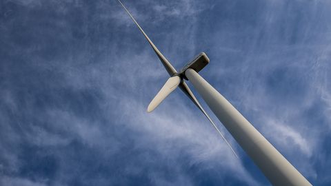 Põltsamaa algatas eriplaneeringu tuuleparkide rajamiseks