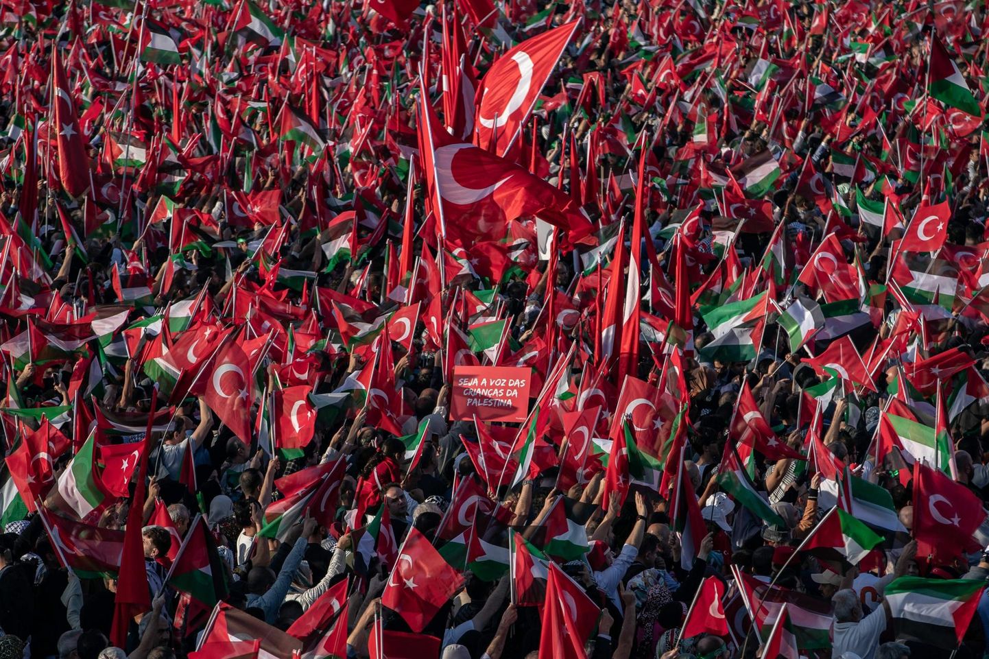 Toetusmeeleavaldus palestiinlastele 28. oktoobril Istanbulis, kus president Recep Tayyip Erdoğan süüdistas lääneriike selles, et nad ei takista Iisraelil Gazat ründamast. 