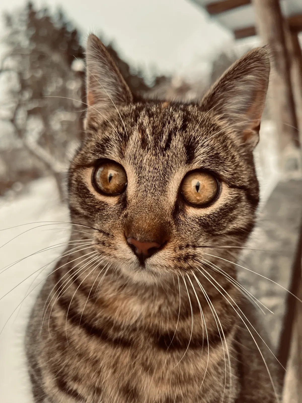 «Miks nii külm on?»