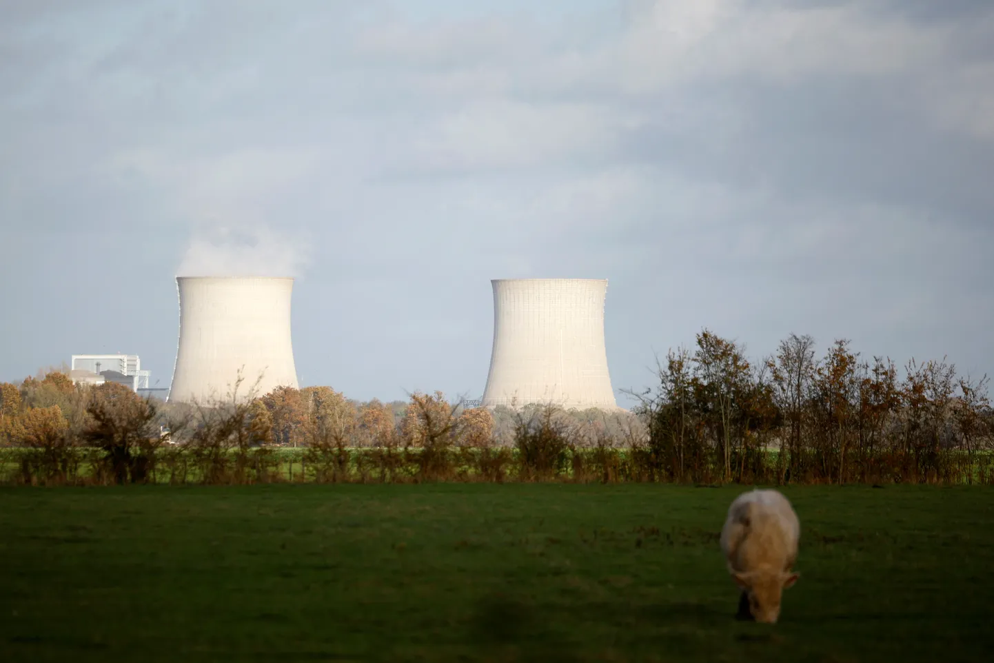 The cooling towers of the Saint-Laurent-Des-Eaux nuclear power plant site in Muides, near Orleans, France.