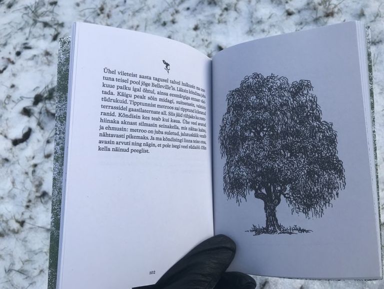 Anti Saare raamat «Puu põndakul».