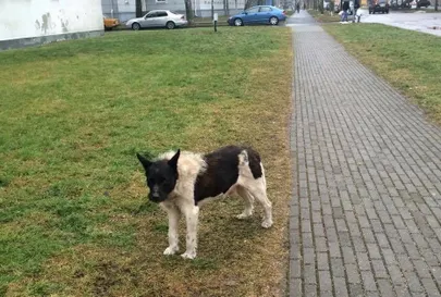 Žorik