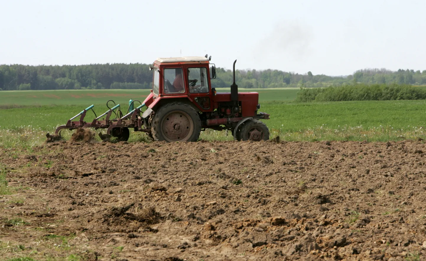 Traktors apstrādā zemi.