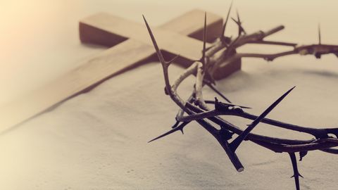 VIDEO ⟩ Katoļu baznīca pārsūdzēs spriedumu Damberga lietā