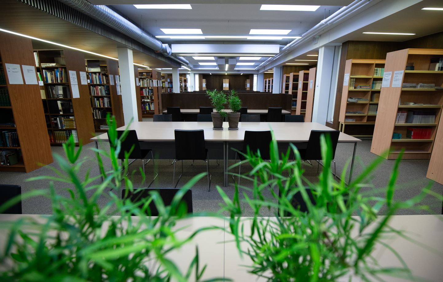 TÜ raamatukogust saab taas raamatuid laenutada.